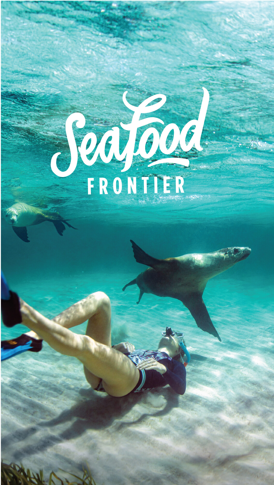 Social Media IG Stories Seafood Frontier