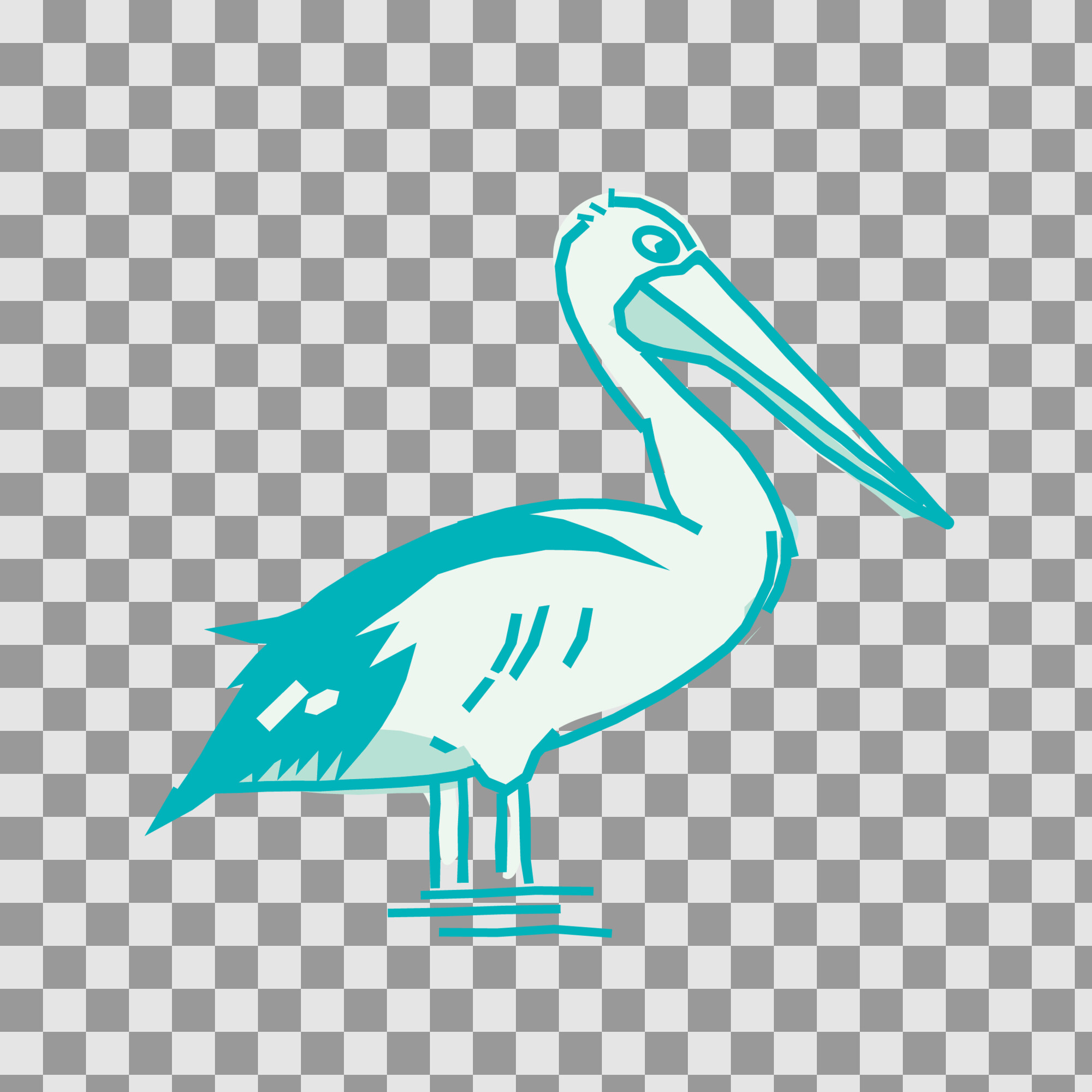 Illustrations Southern Ocean Drive