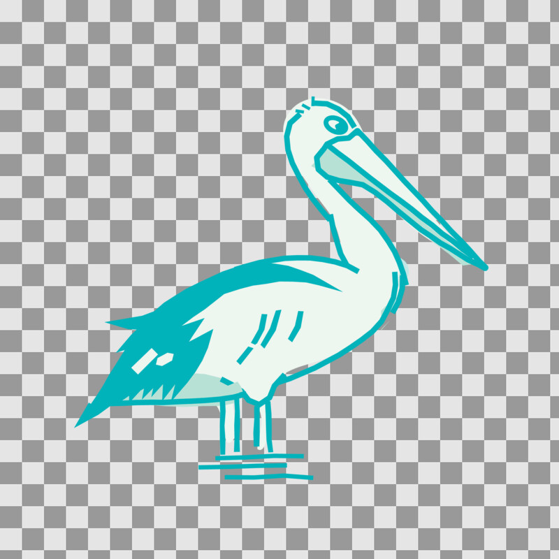 Illustrations Southern Ocean Drive