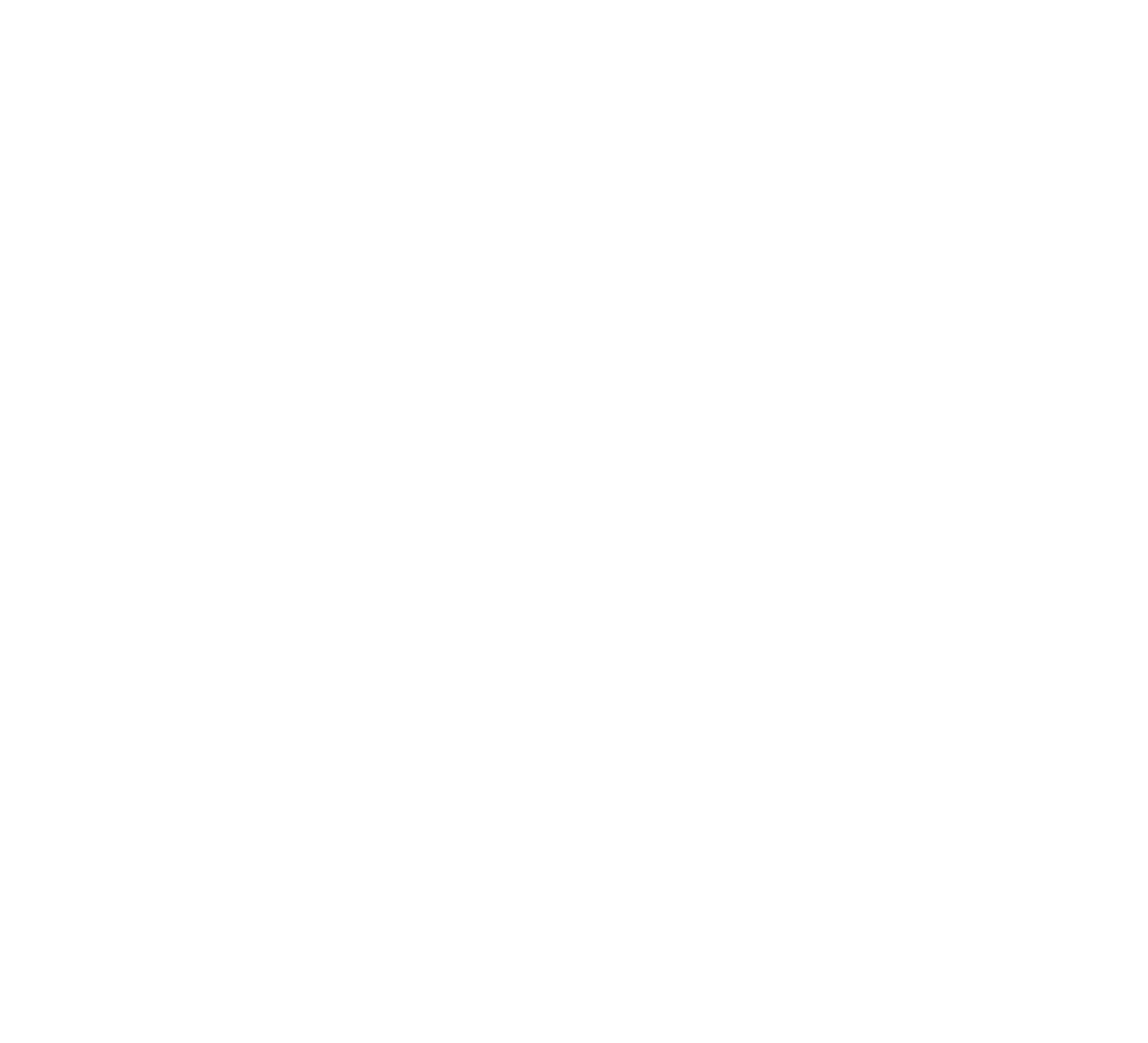 Logo Mono Reverse Southern Ocean Drive