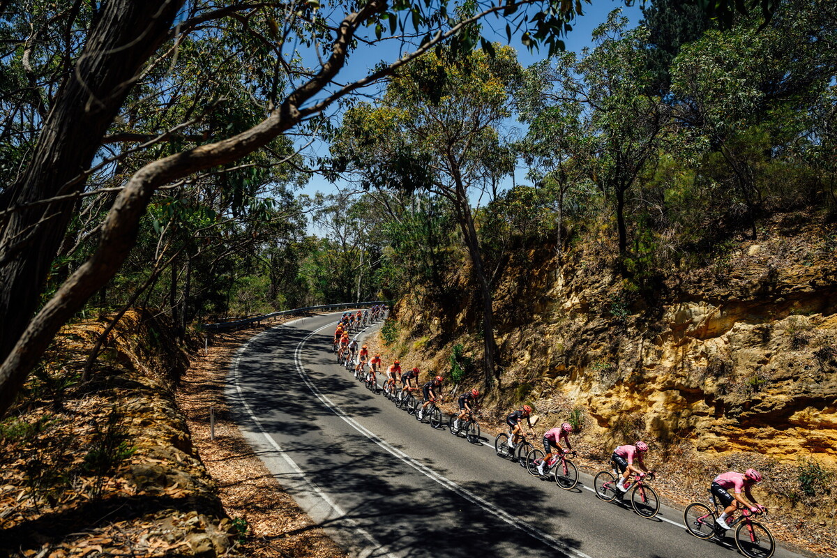 CAuldPhoto-2026-TDU-Stage5-Men-7453.jpg