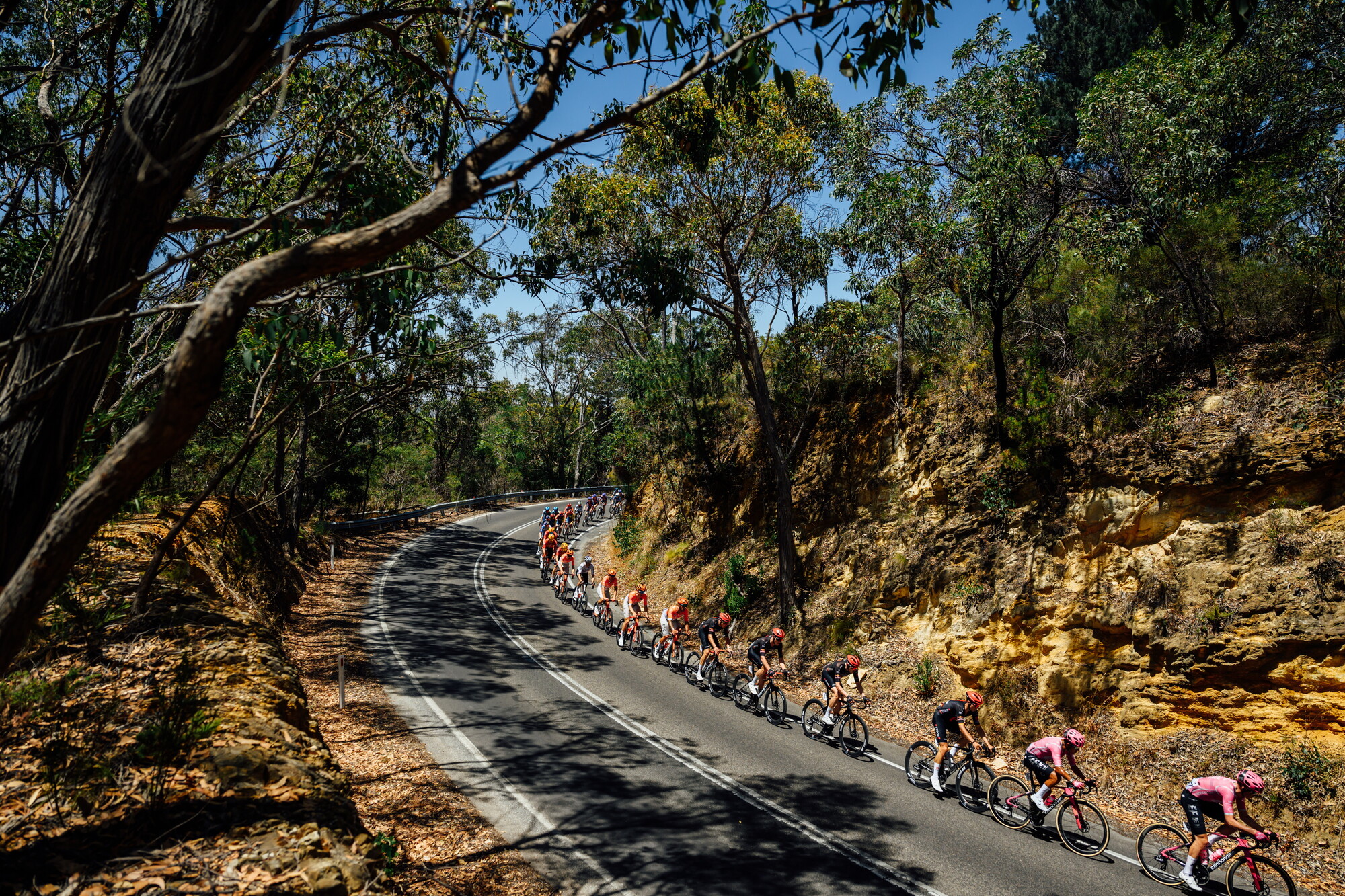 CAuldPhoto-2026-TDU-Stage5-Men-7456.jpg