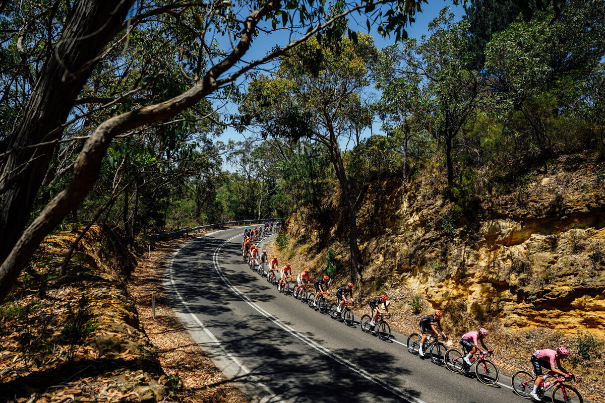 CAuldPhoto-2026-TDU-Stage5-Men-7456.jpg