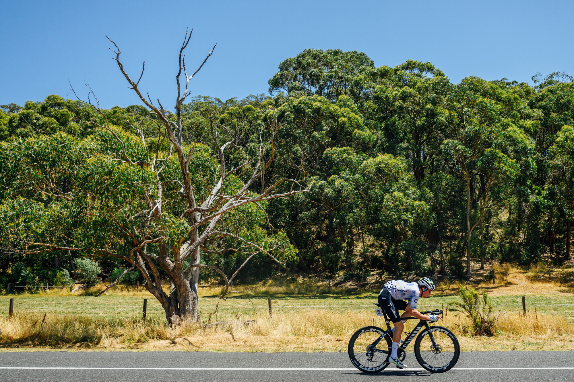 CAuldPhoto-2026-TDU-Stage5-Men-7225.jpg