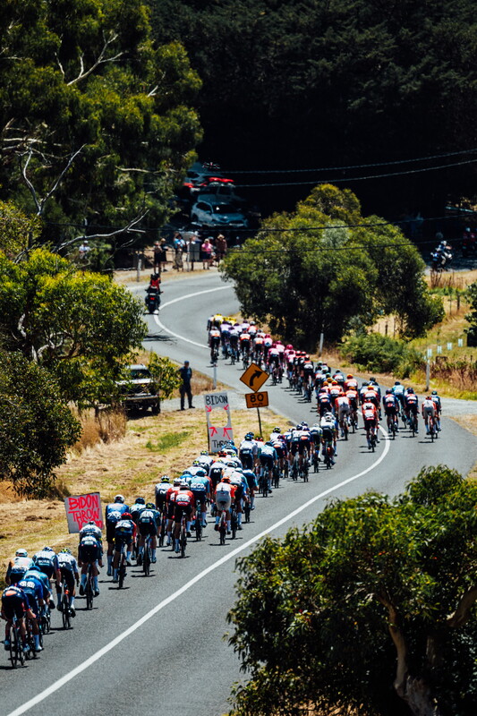 cyclingimages-TDU-2026-Mens Stage 5-826085.jpg