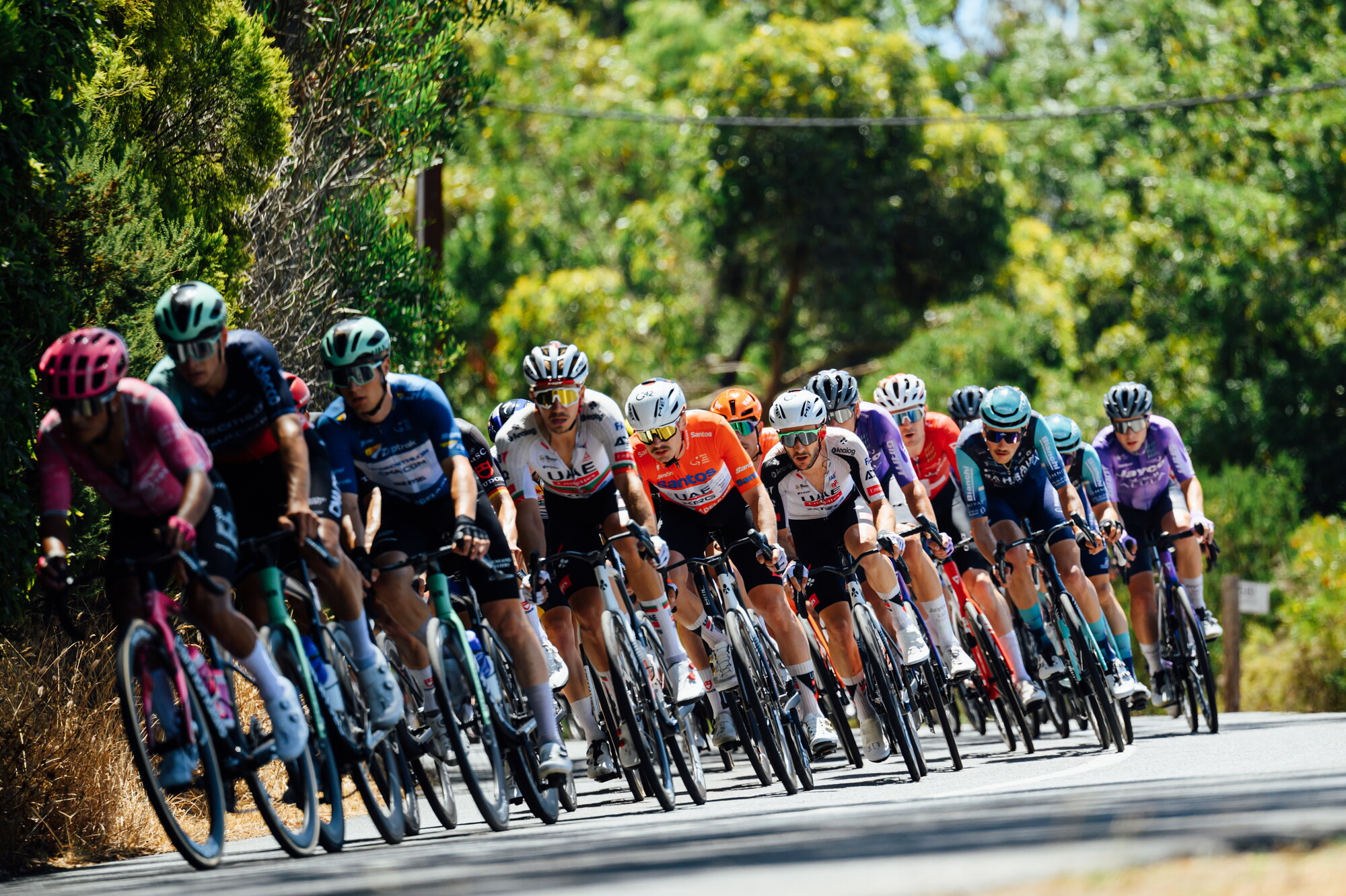CAuldPhoto-2026-TDU-Stage5-Men-8227.jpg