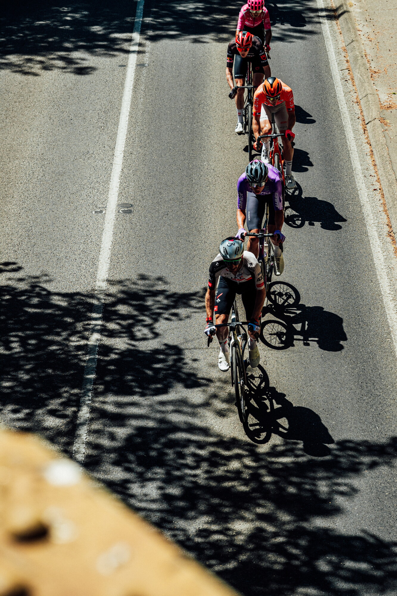 cyclingimages-TDU-2026-Mens Stage 5-835551.jpg