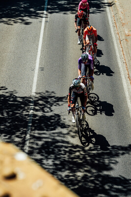 cyclingimages-TDU-2026-Mens Stage 5-835551.jpg