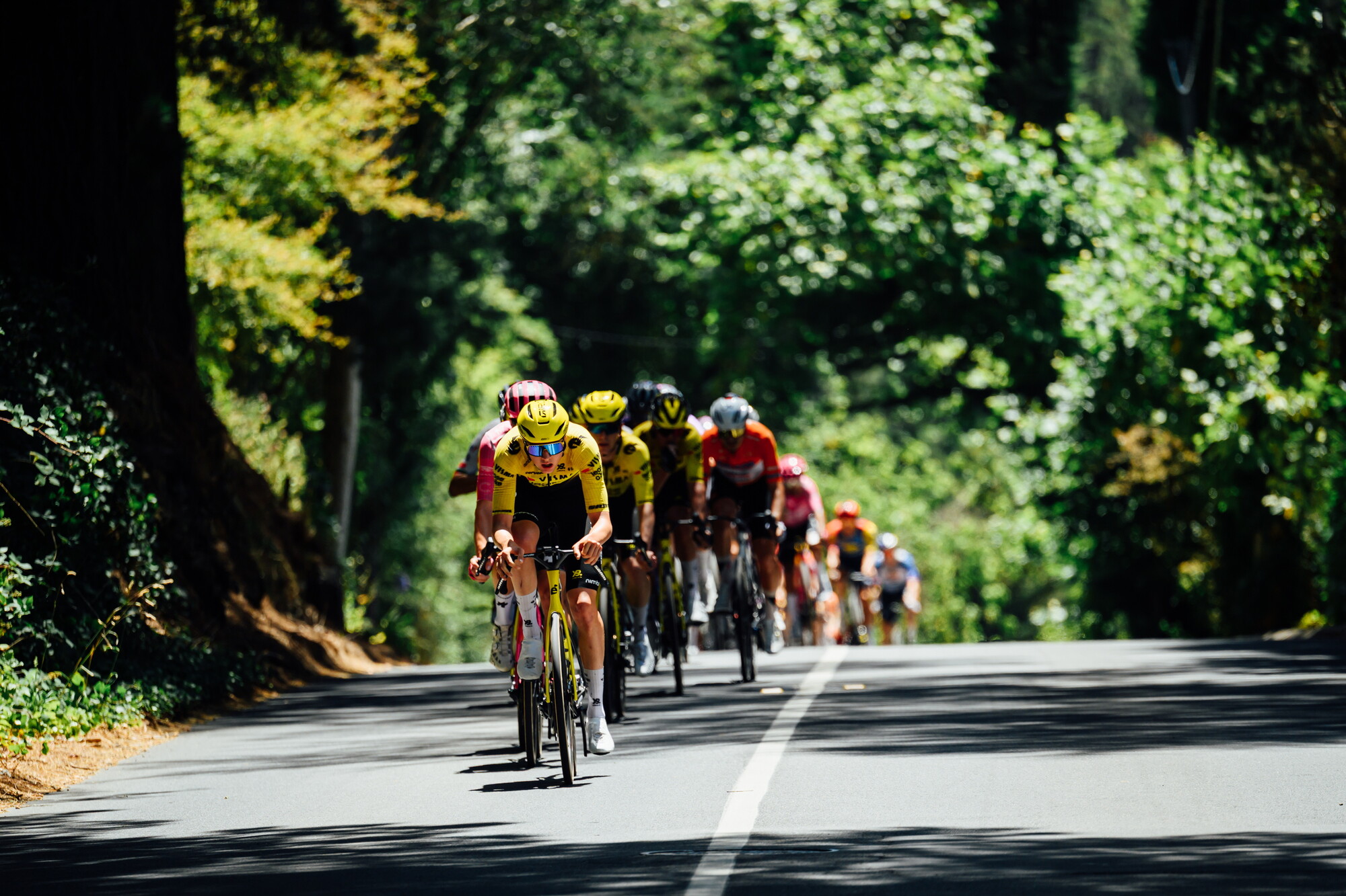 CAuldPhoto-2026-TDU-Stage5-Men-7656.jpg