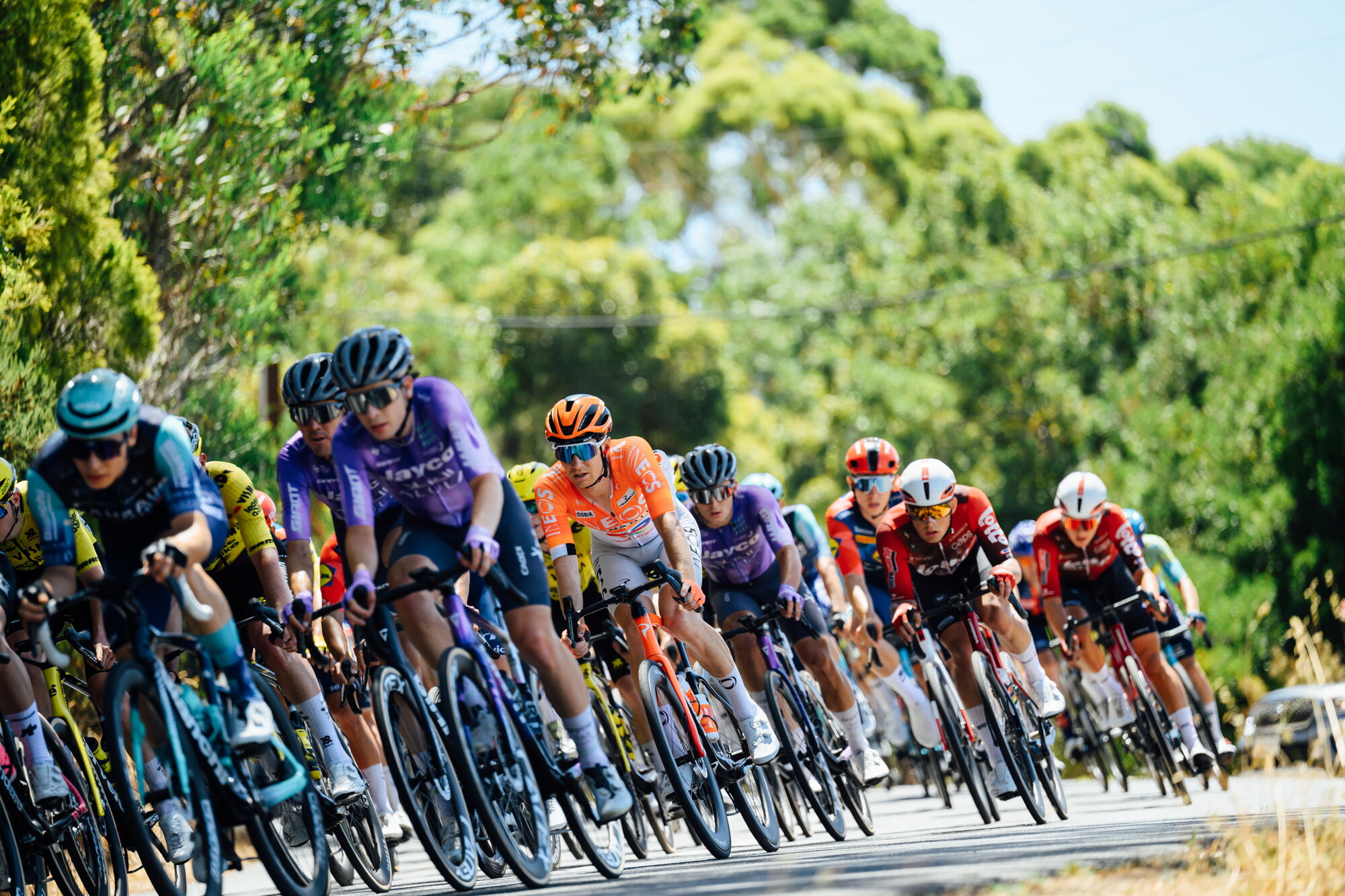 CAuldPhoto-2026-TDU-Stage5-Men-8243.jpg