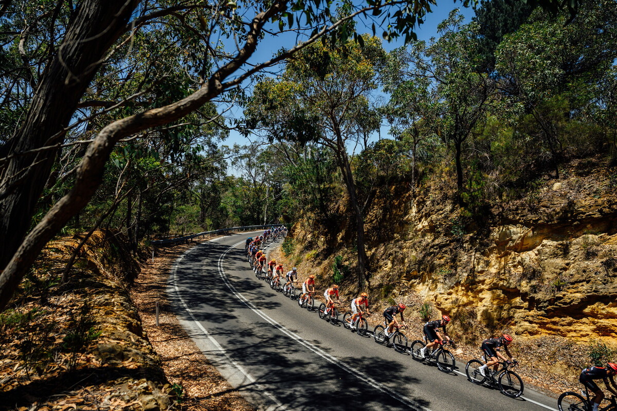 CAuldPhoto-2026-TDU-Stage5-Men-7461.jpg
