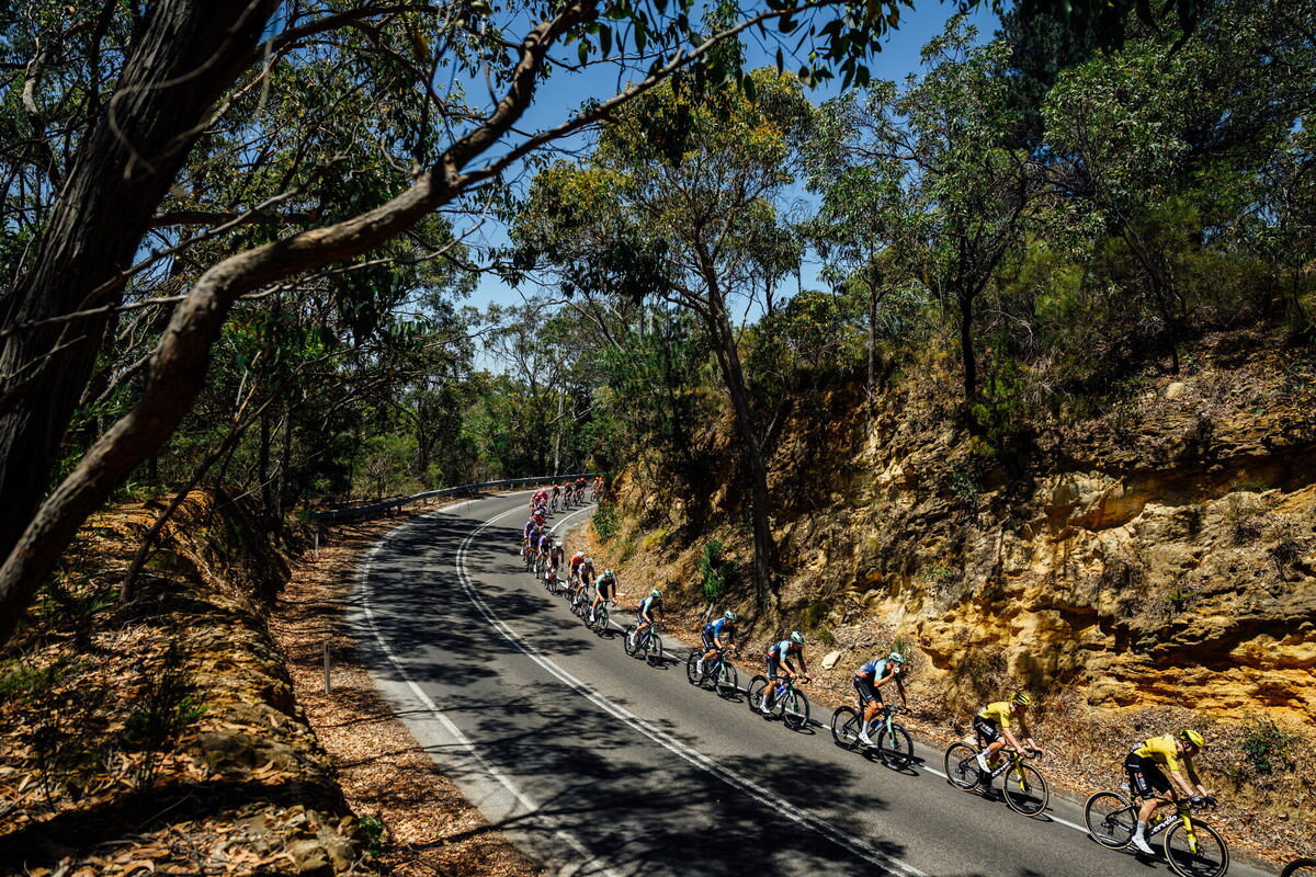 CAuldPhoto-2026-TDU-Stage5-Men-7408.jpg