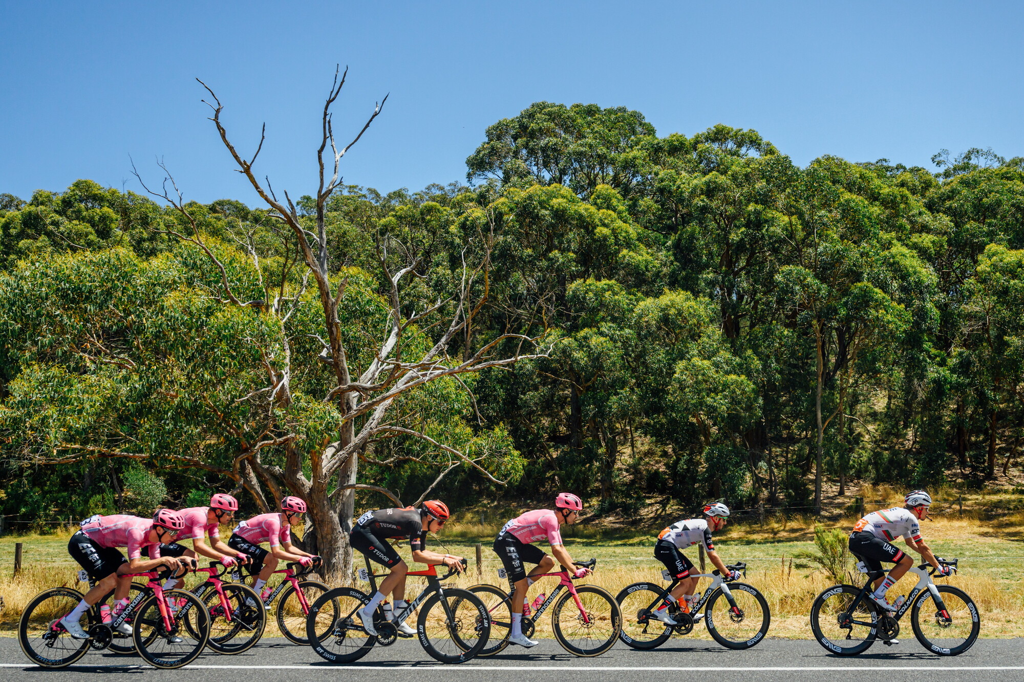 CAuldPhoto-2026-TDU-Stage5-Men-7257.jpg
