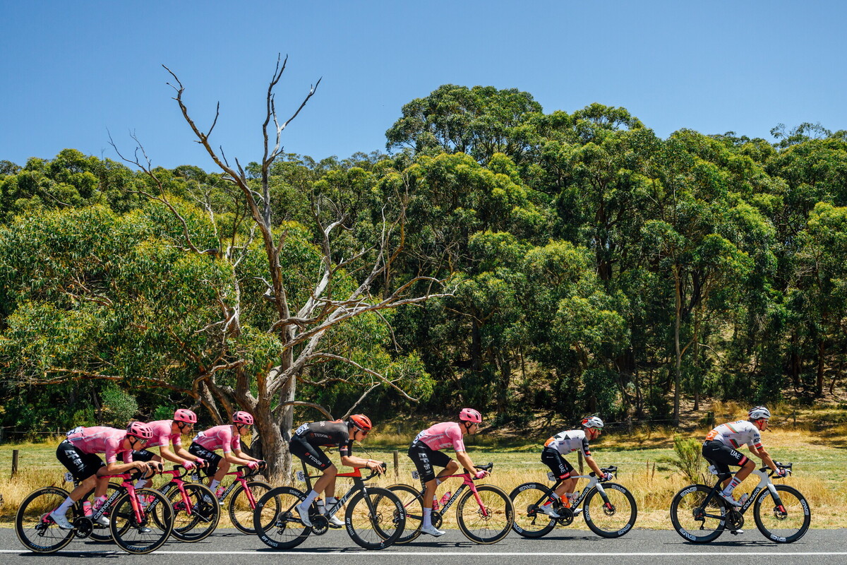 CAuldPhoto-2026-TDU-Stage5-Men-7257.jpg