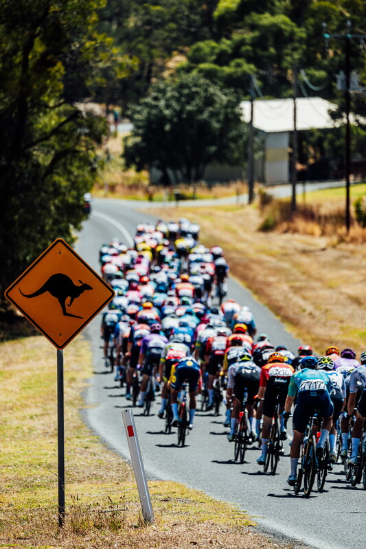cyclingimages-TDU-2026-Mens Stage 5-825843.jpg
