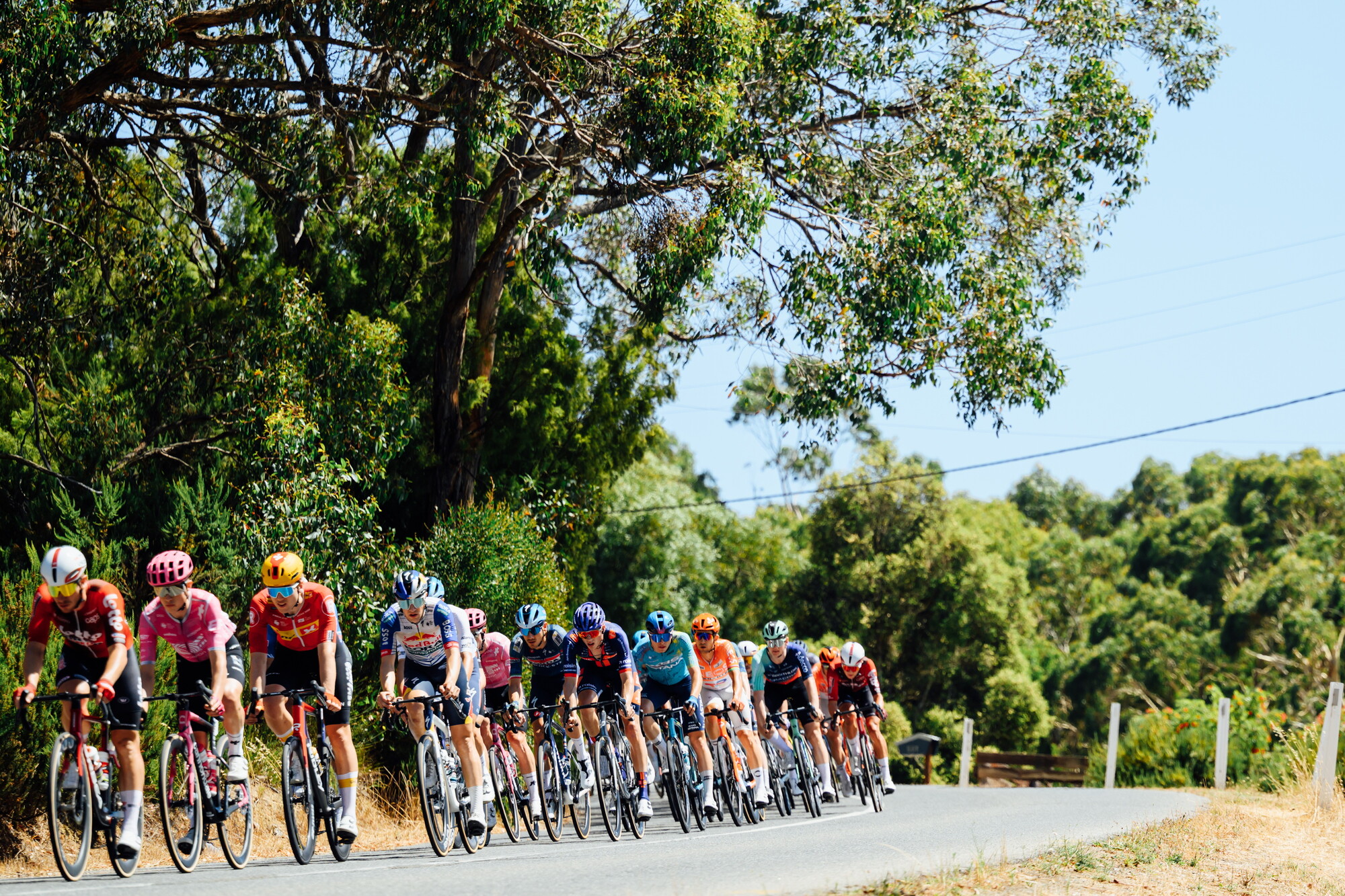 CAuldPhoto-2026-TDU-Stage5-Men-7152.jpg