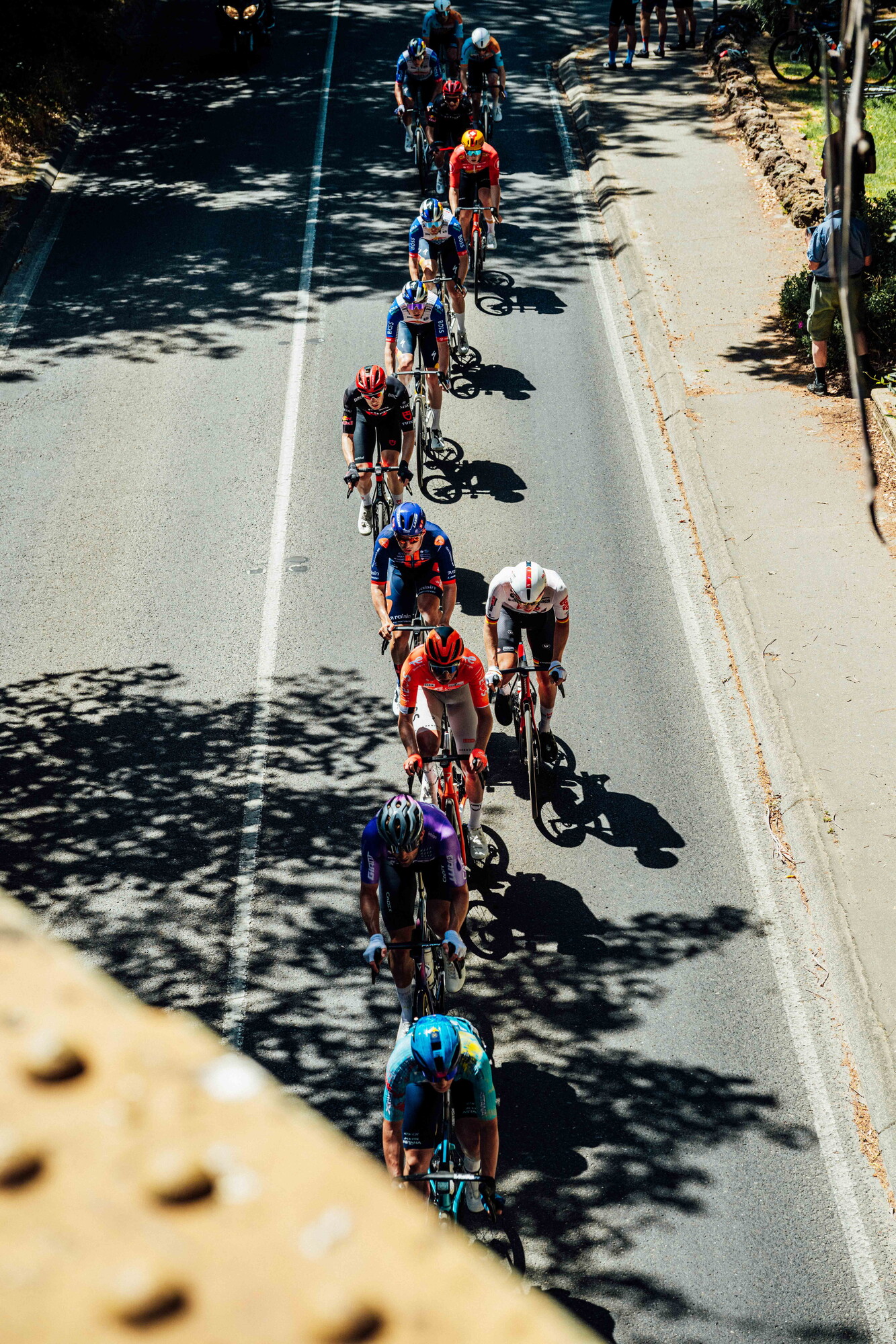 cyclingimages-TDU-2026-Mens Stage 5-835787.jpg