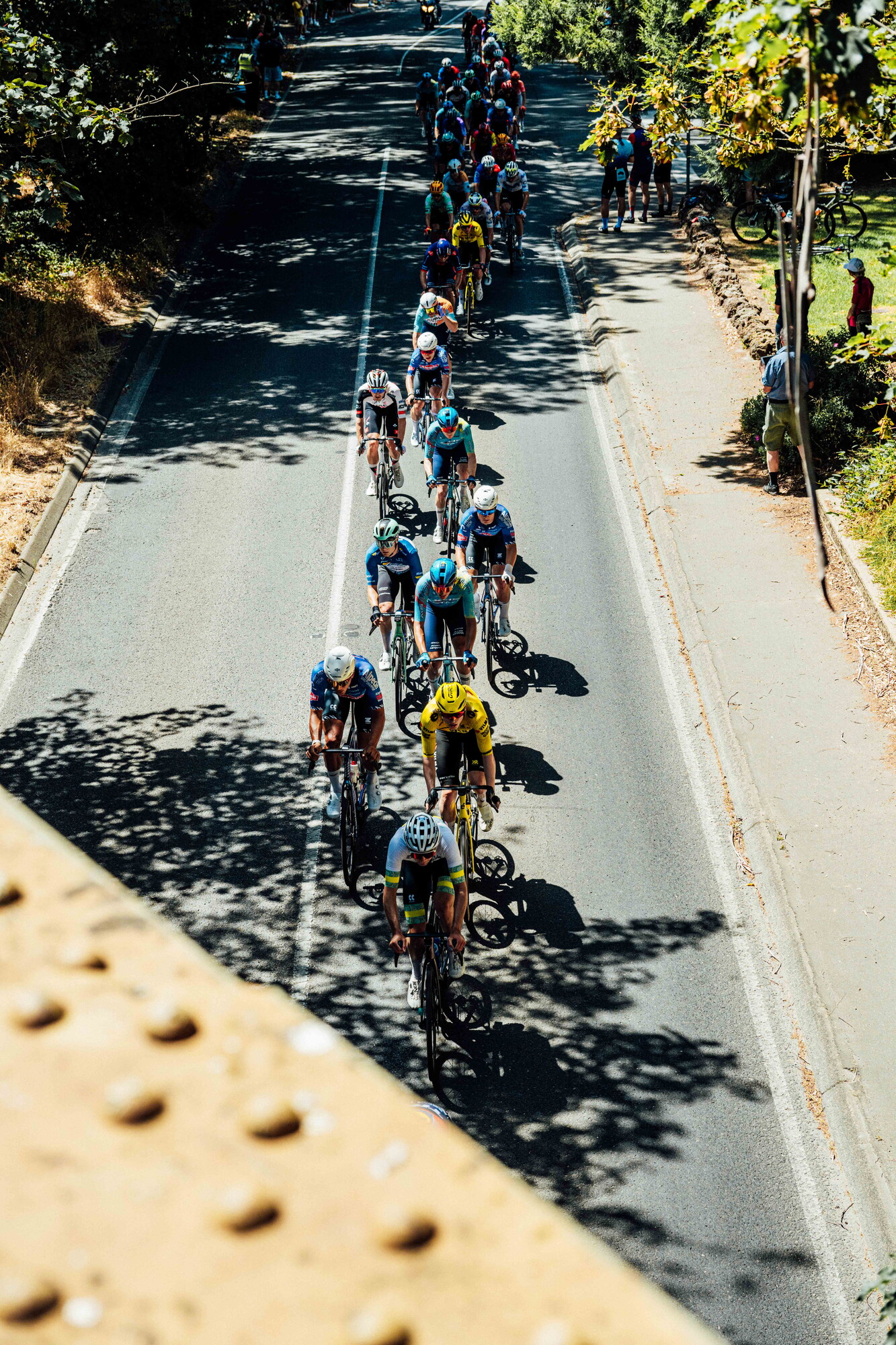 cyclingimages-TDU-2026-Mens Stage 5-835725.jpg