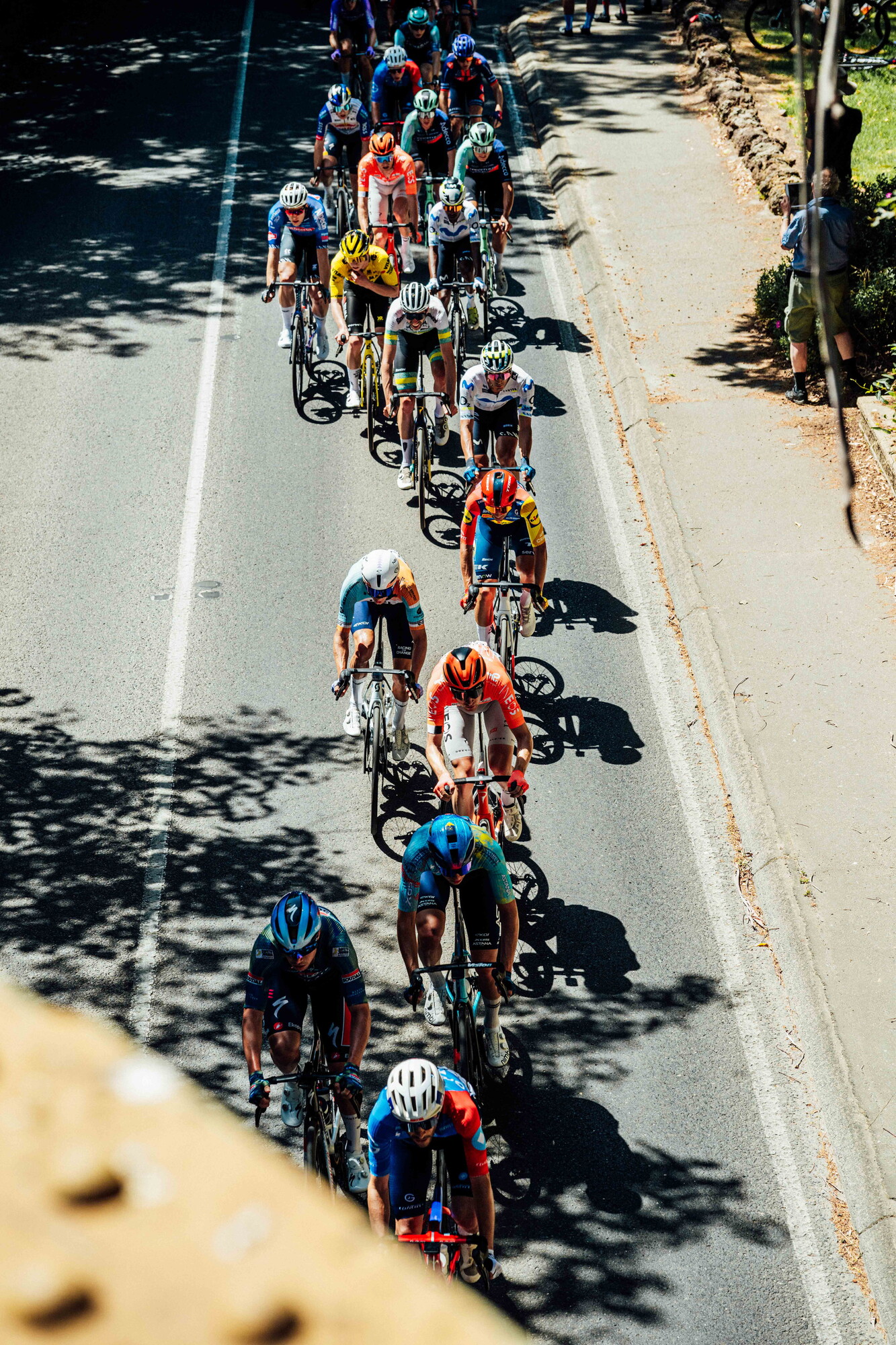 cyclingimages-TDU-2026-Mens Stage 5-835643.jpg
