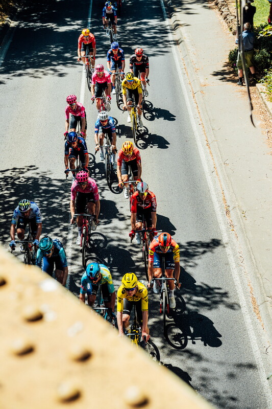 cyclingimages-TDU-2026-Mens Stage 5-835685.jpg