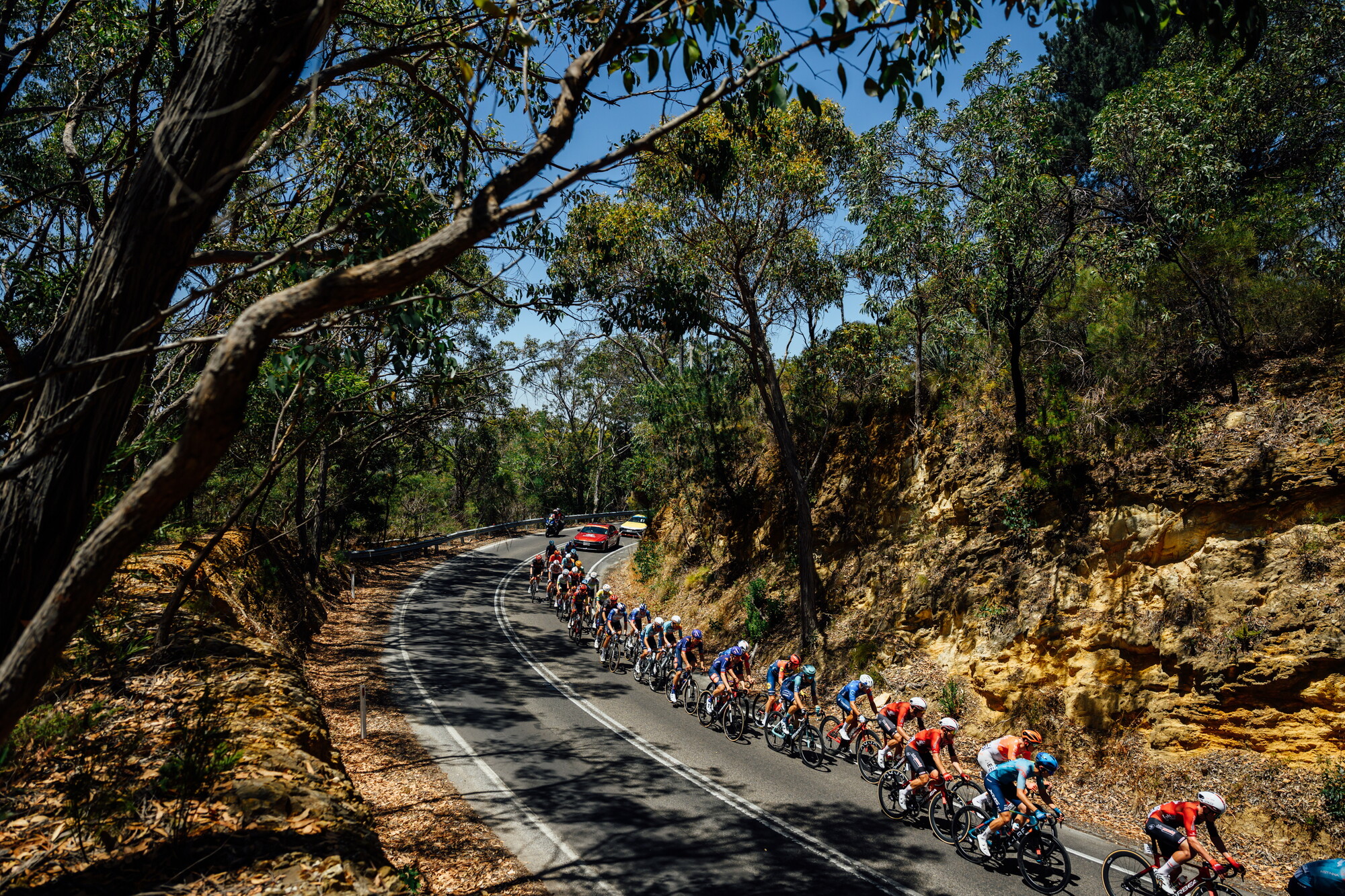 CAuldPhoto-2026-TDU-Stage5-Men-7546.jpg
