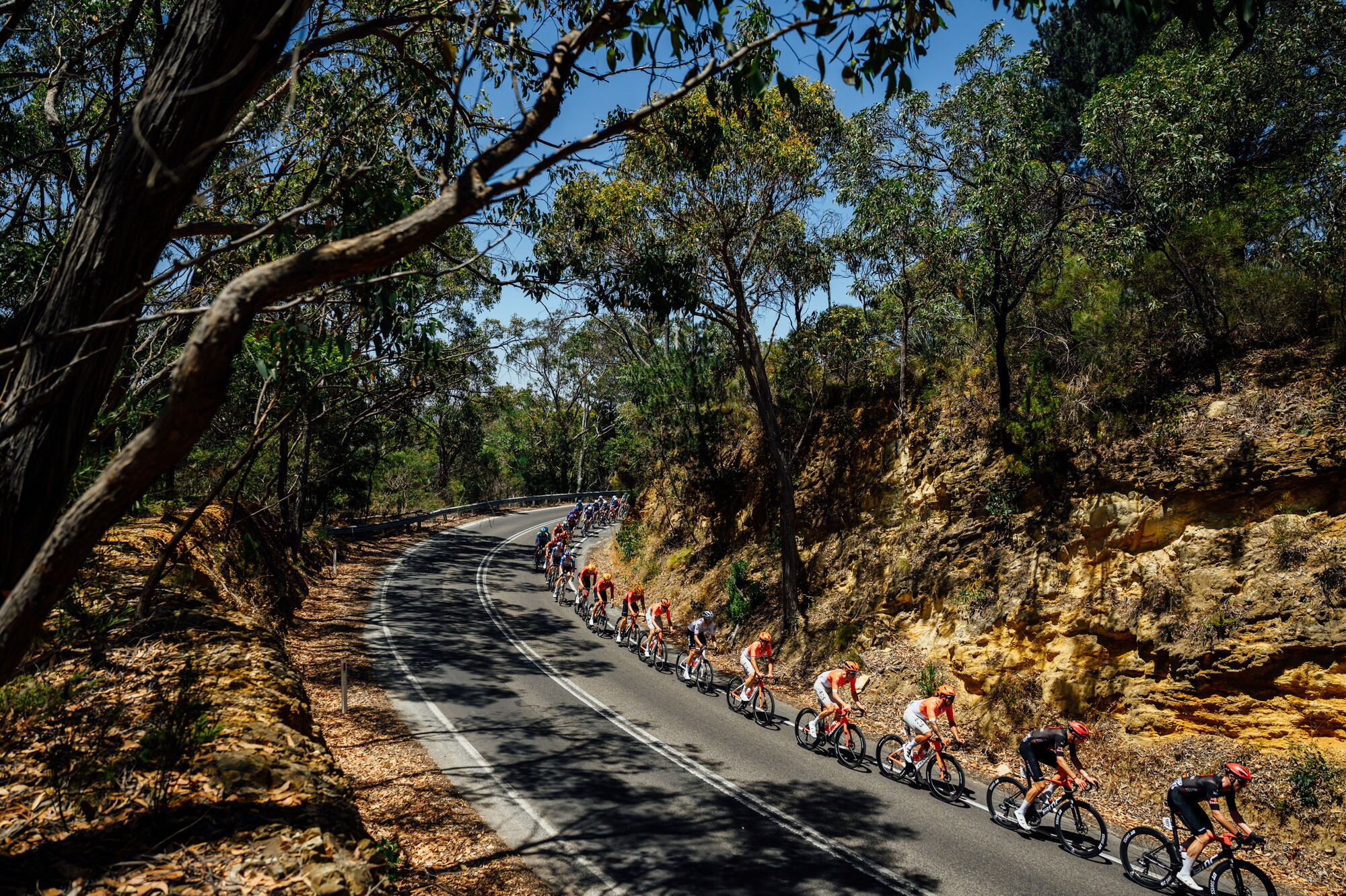 CAuldPhoto-2026-TDU-Stage5-Men-7465.jpg