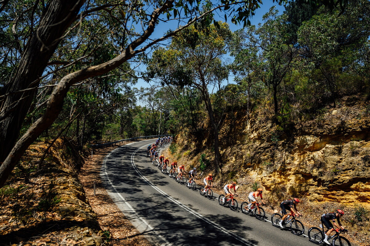 CAuldPhoto-2026-TDU-Stage5-Men-7465.jpg