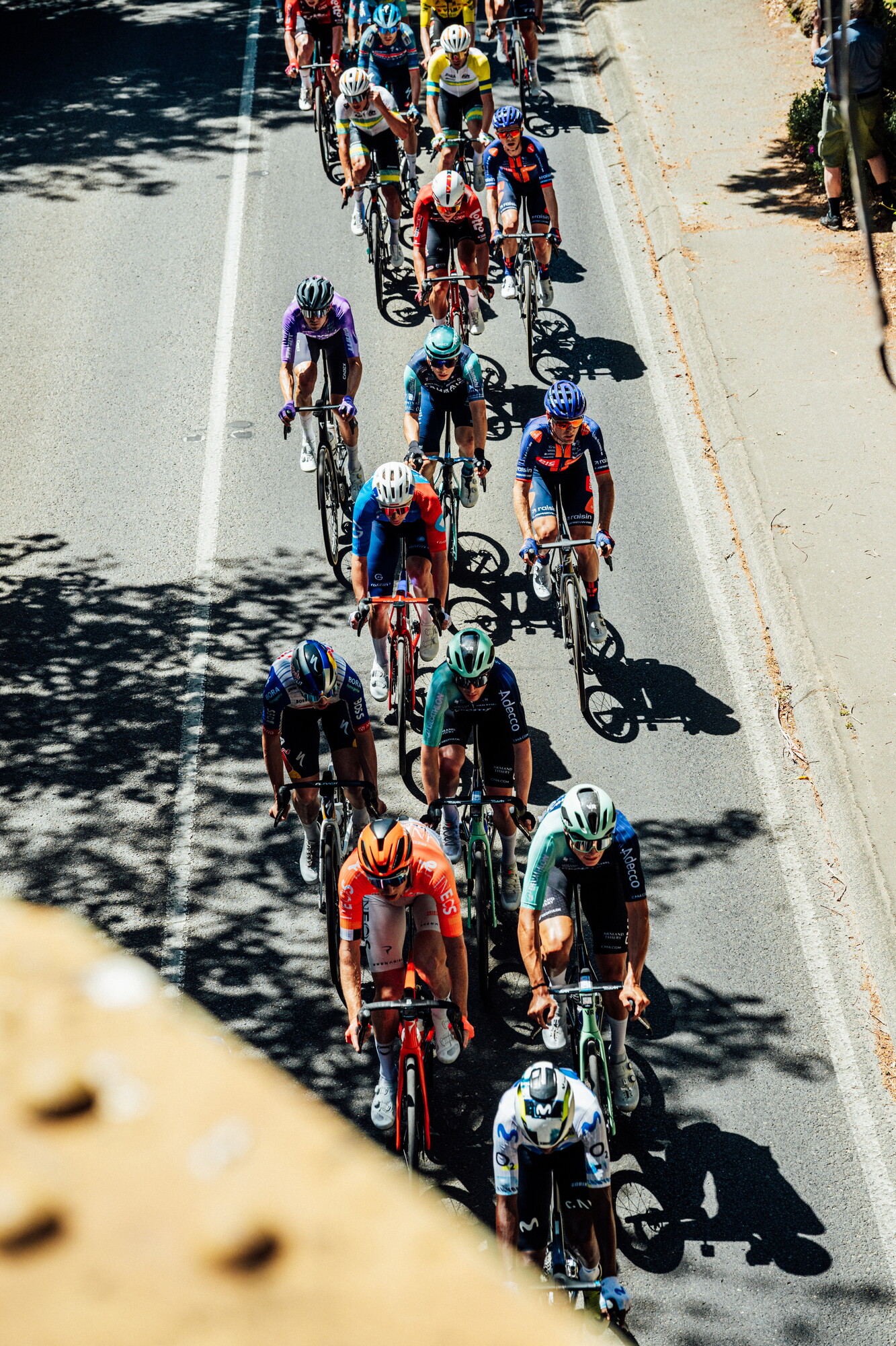 cyclingimages-TDU-2026-Mens Stage 5-835661.jpg