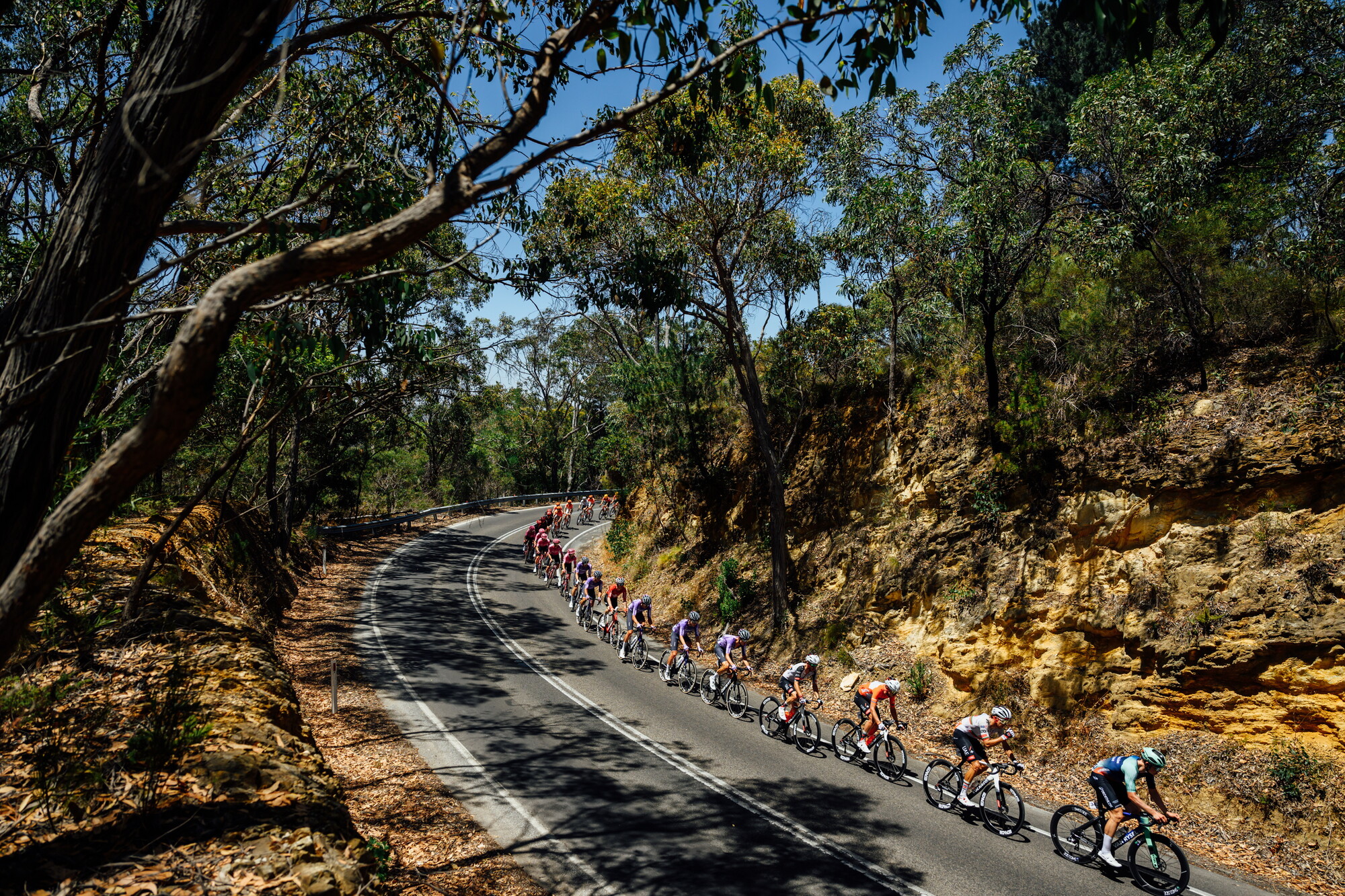 CAuldPhoto-2026-TDU-Stage5-Men-7423.jpg