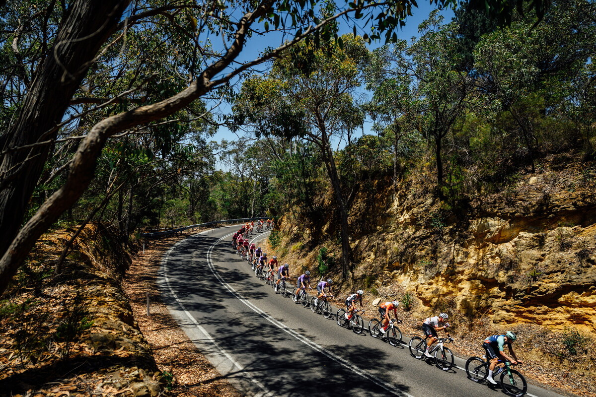 CAuldPhoto-2026-TDU-Stage5-Men-7423.jpg