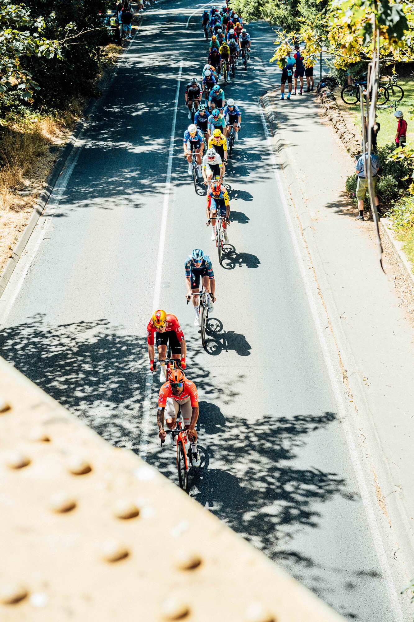 cyclingimages-TDU-2026-Mens Stage 5-835708.jpg