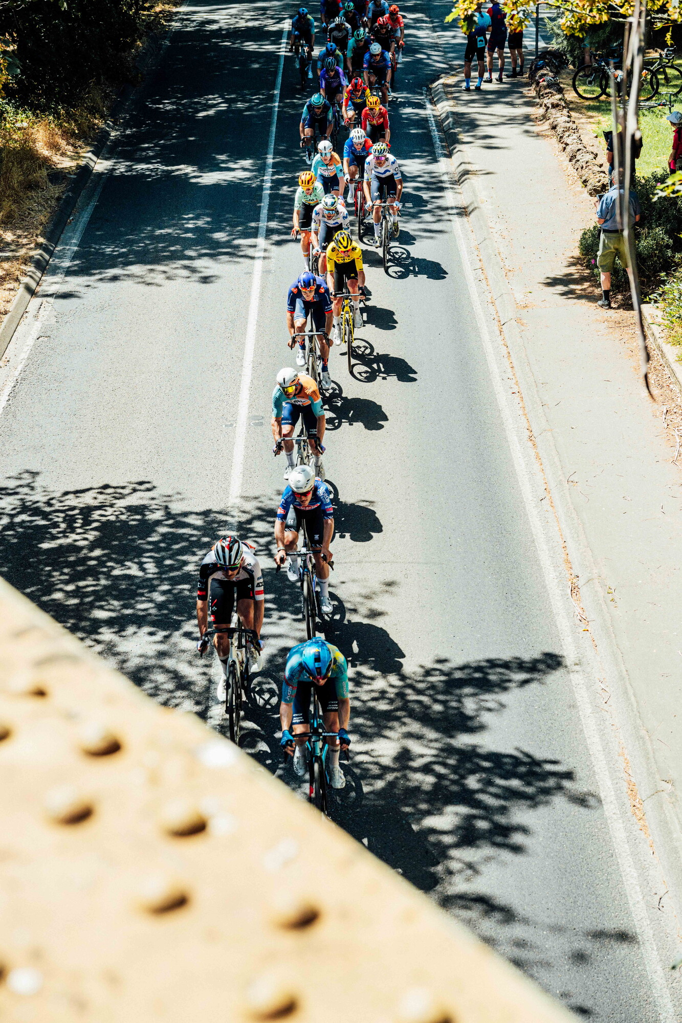 cyclingimages-TDU-2026-Mens Stage 5-835740.jpg