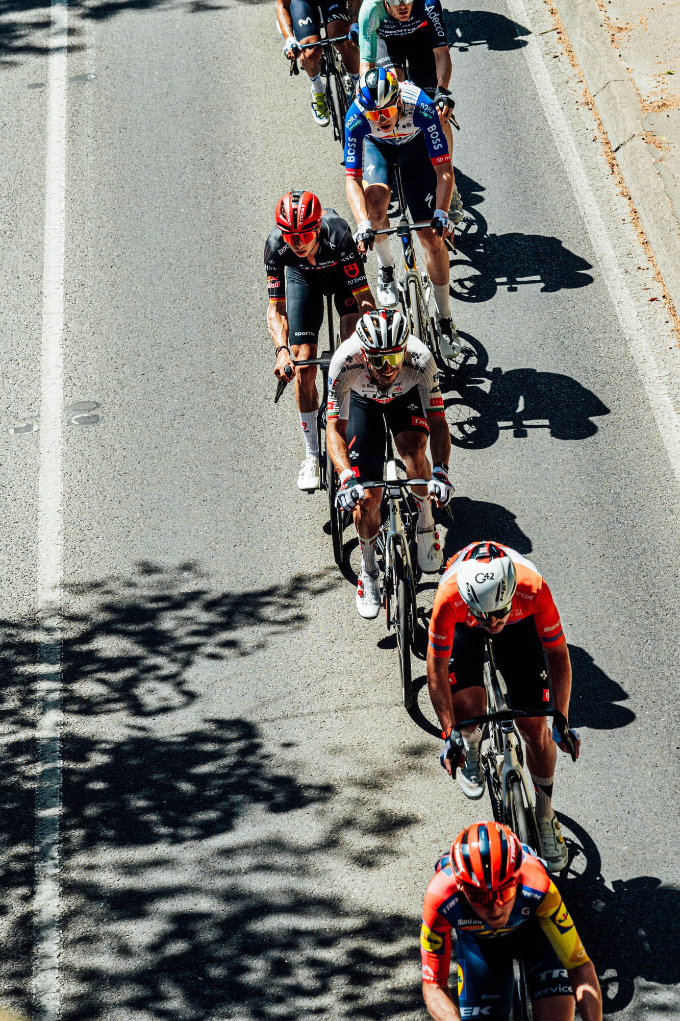 cyclingimages-TDU-2026-Mens Stage 5-835609.jpg