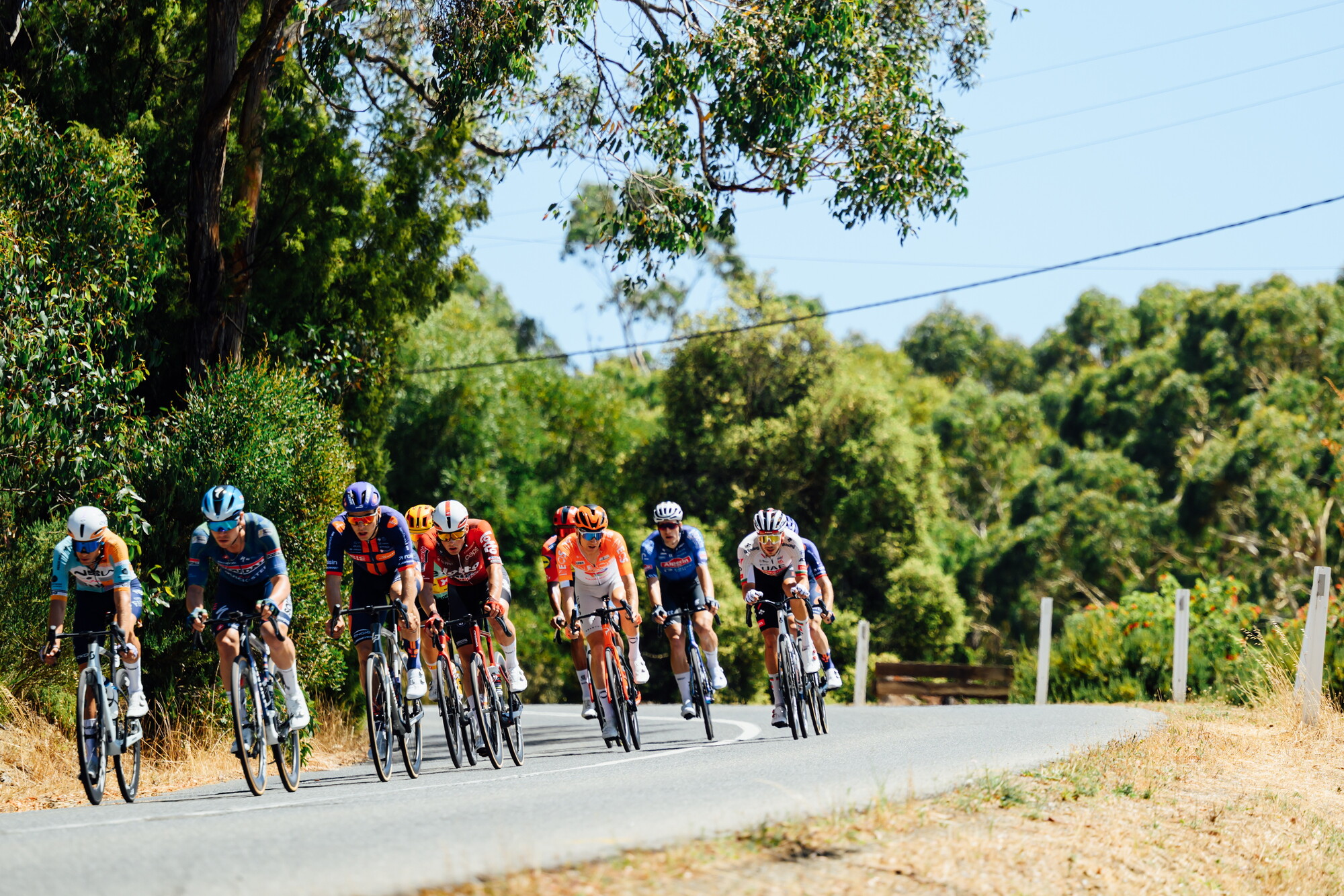 CAuldPhoto-2026-TDU-Stage5-Men-7067.jpg