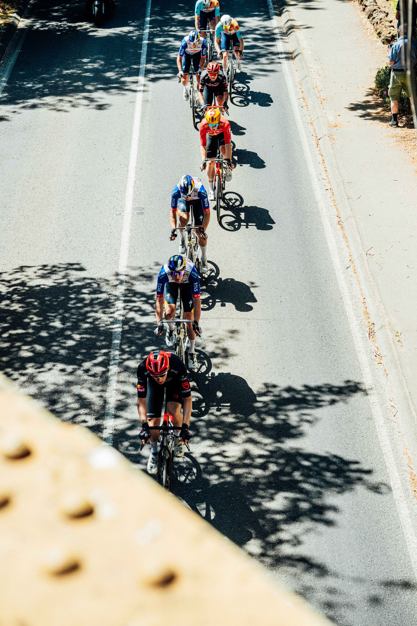 cyclingimages-TDU-2026-Mens Stage 5-835798.jpg