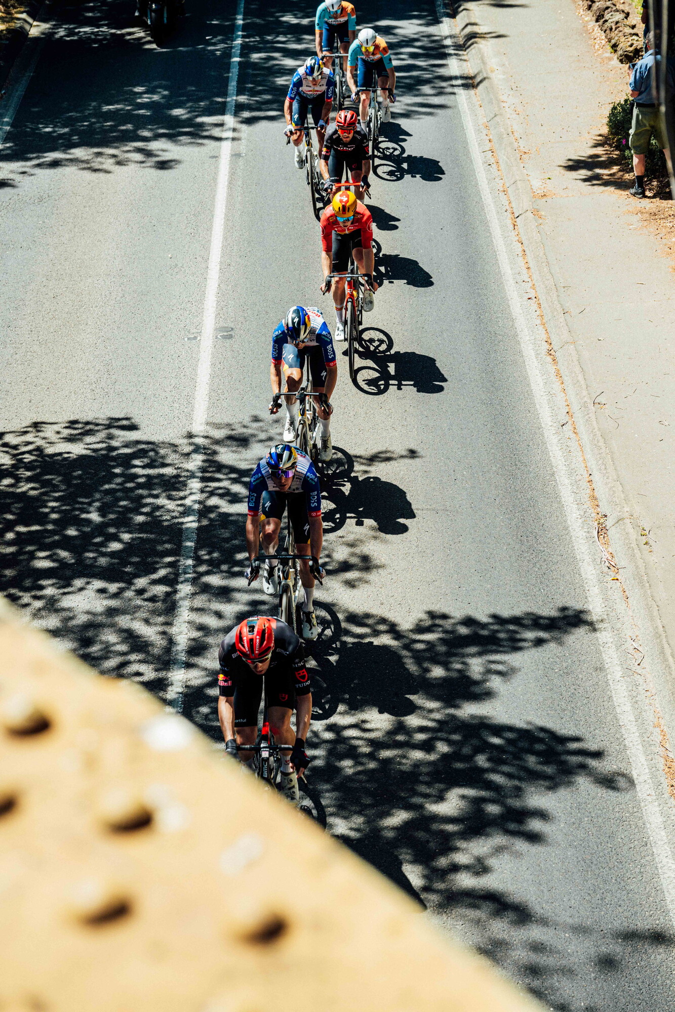 cyclingimages-TDU-2026-Mens Stage 5-835799.jpg