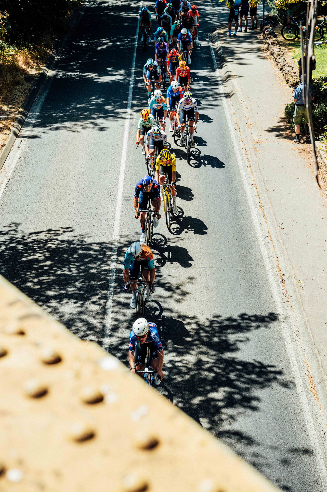 cyclingimages-TDU-2026-Mens Stage 5-835745.jpg