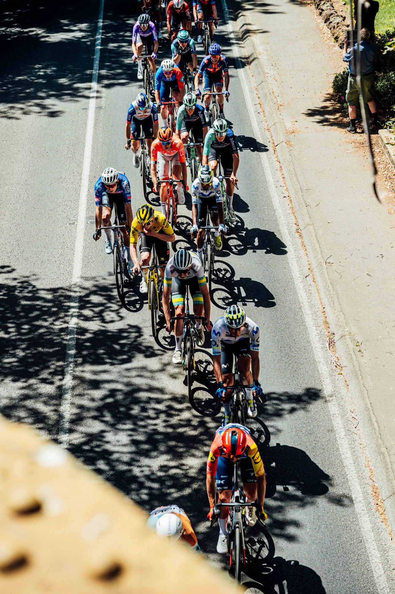 cyclingimages-TDU-2026-Mens Stage 5-835649.jpg