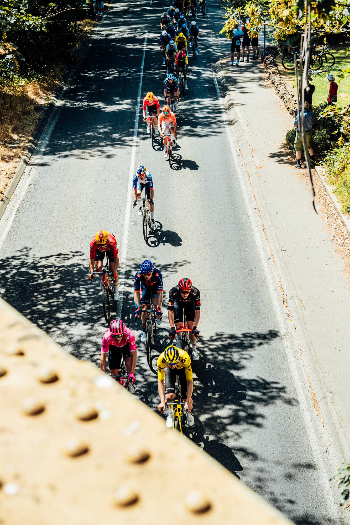 cyclingimages-TDU-2026-Mens Stage 5-835698.jpg