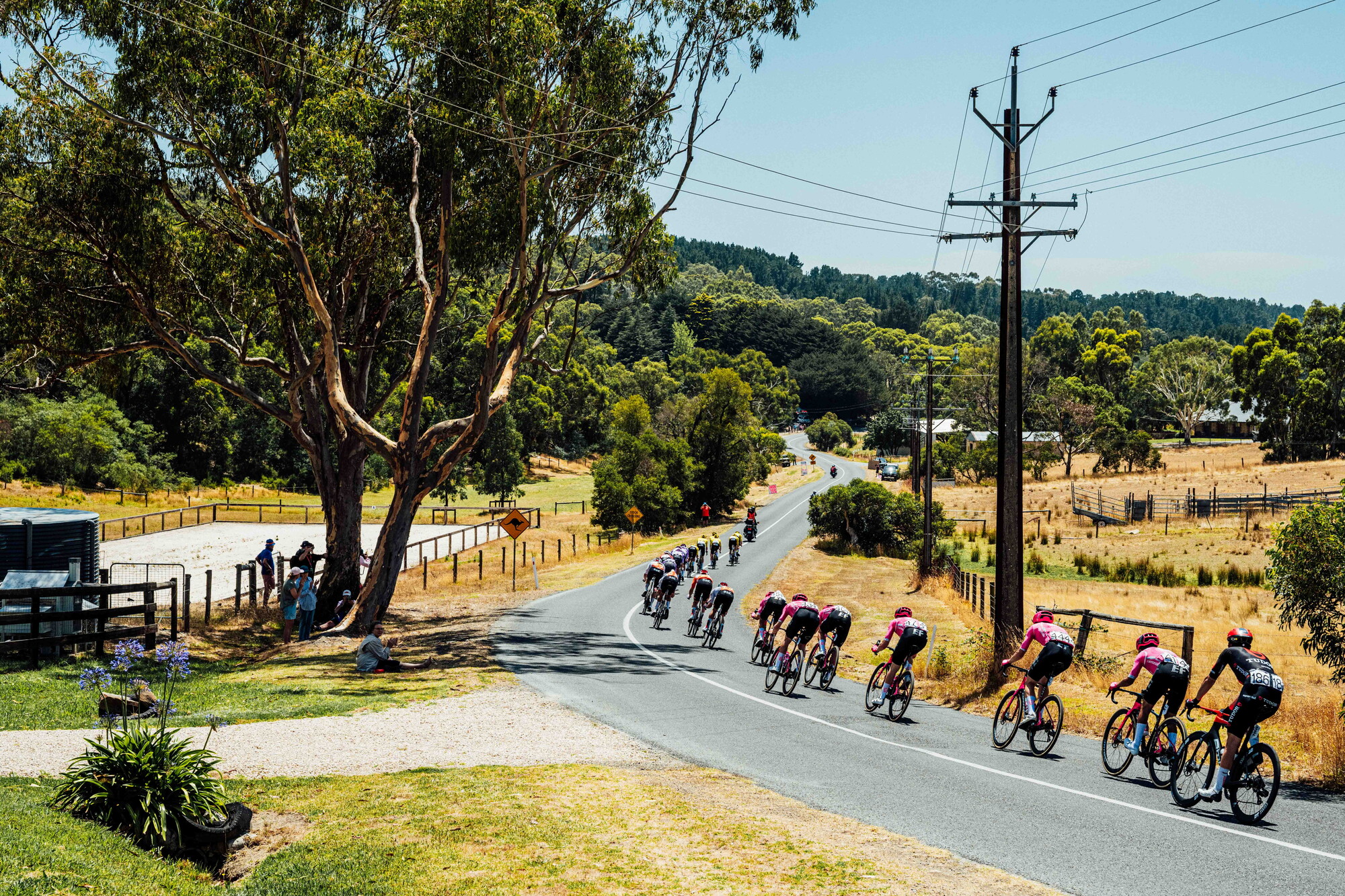 cyclingimages-TDU-2026-Mens Stage 5-836027.jpg