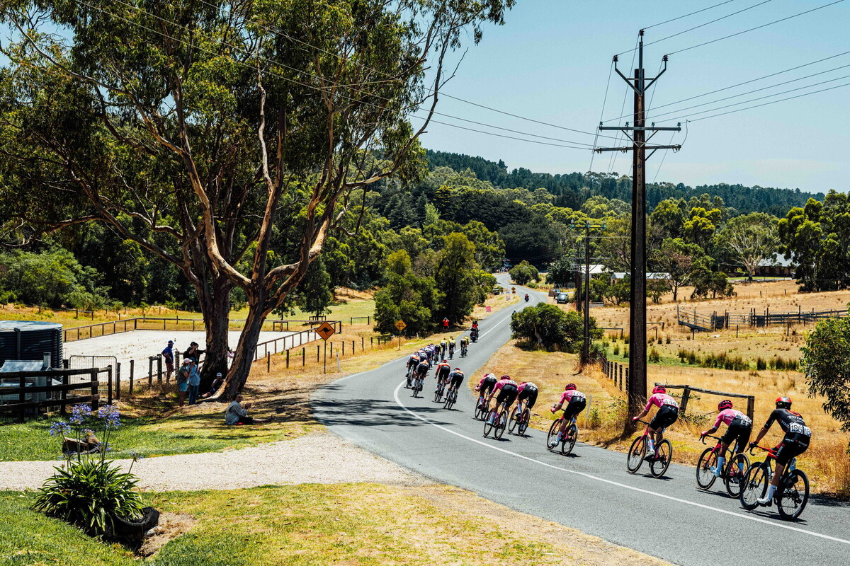 cyclingimages-TDU-2026-Mens Stage 5-836027.jpg