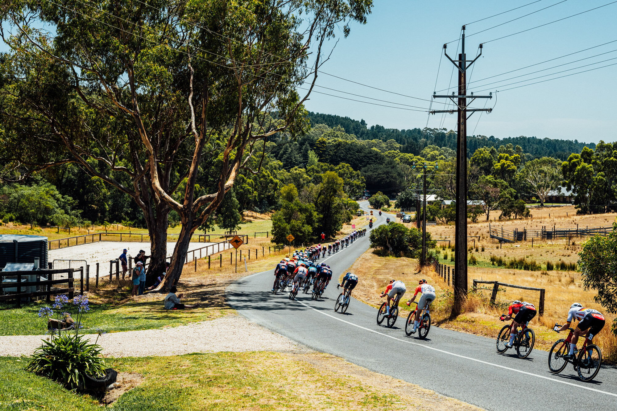 cyclingimages-TDU-2026-Mens Stage 5-836085.jpg