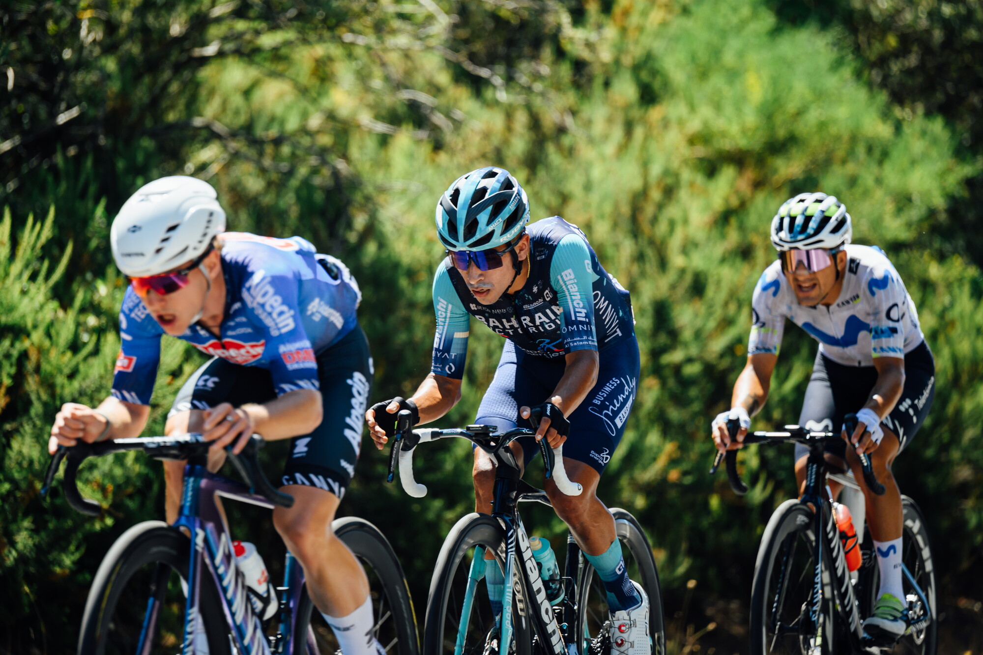 CAuldPhoto-2026-TDU-Stage5-Men-8505.jpg