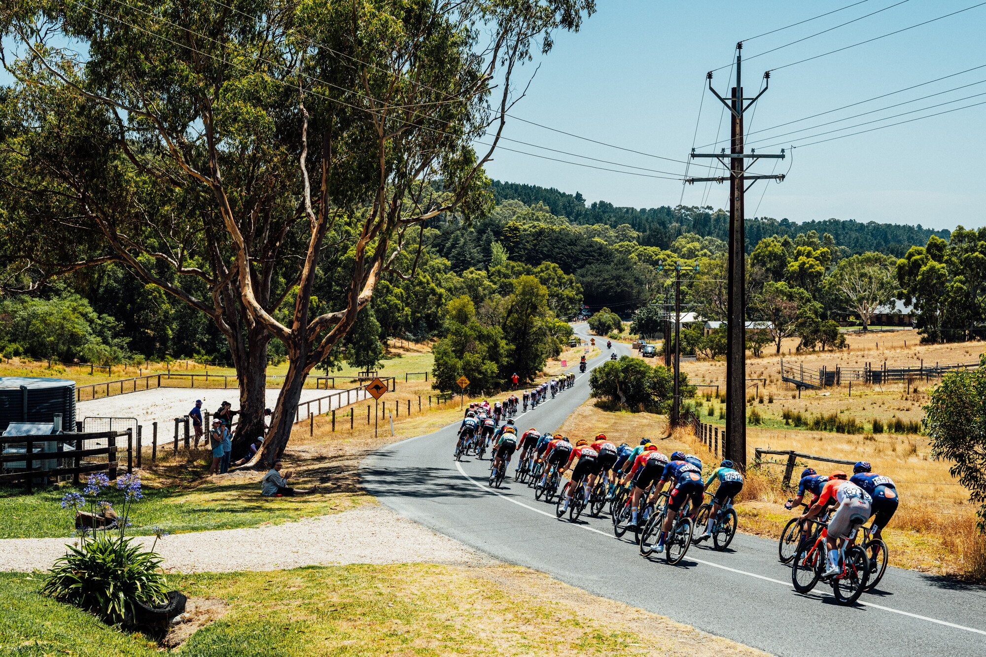 cyclingimages-TDU-2026-Mens Stage 5-836070.jpg