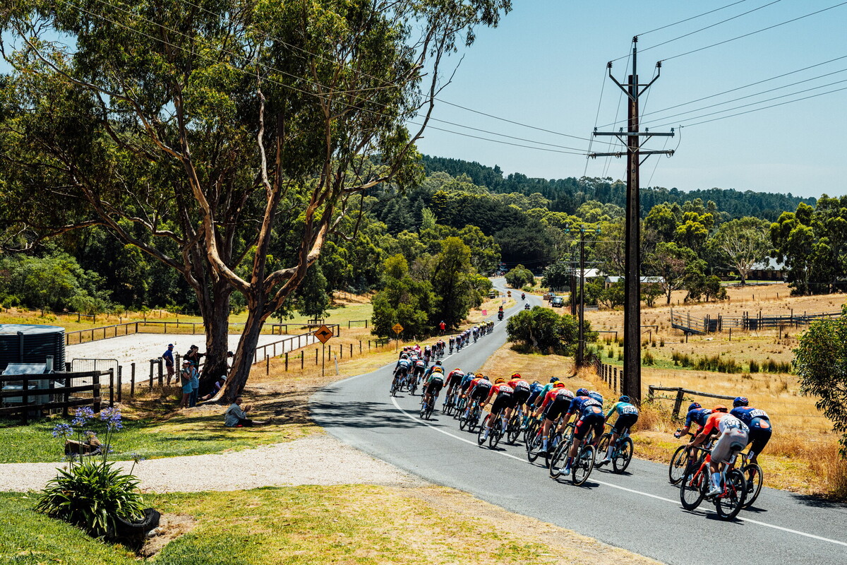 cyclingimages-TDU-2026-Mens Stage 5-836070.jpg