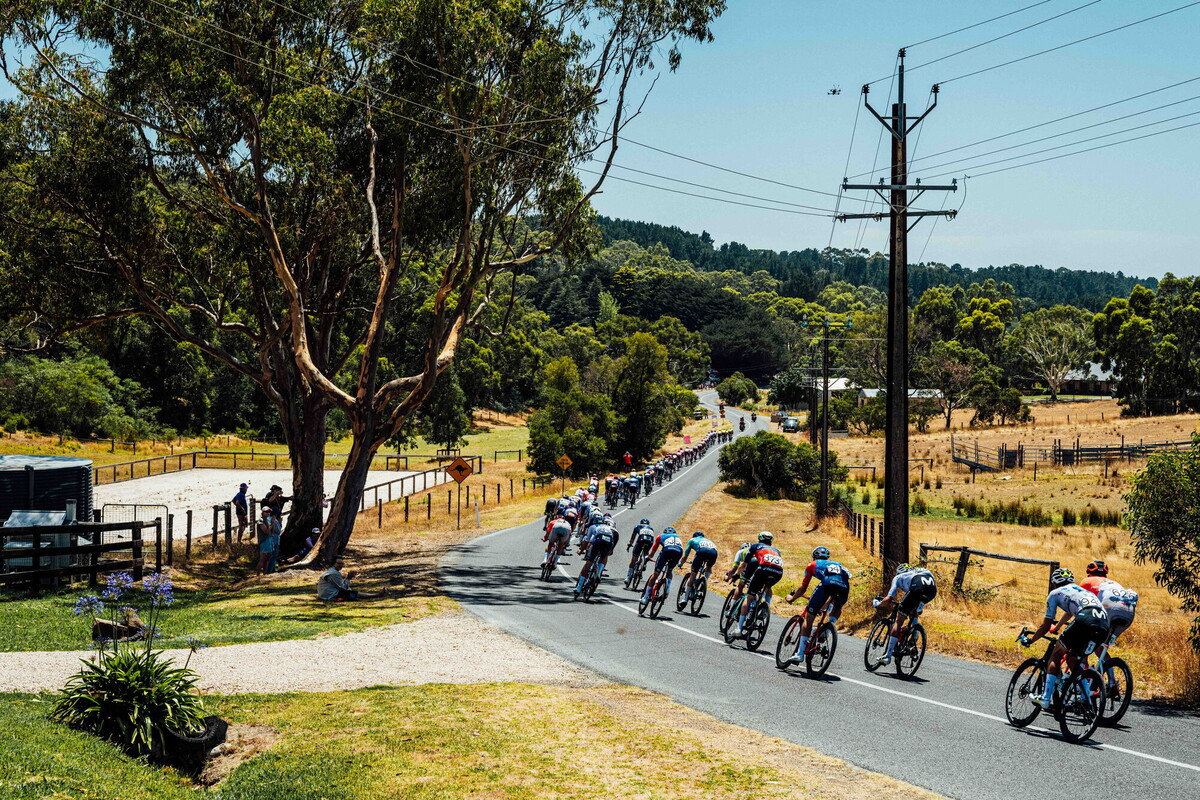 cyclingimages-TDU-2026-Mens Stage 5-836127.jpg