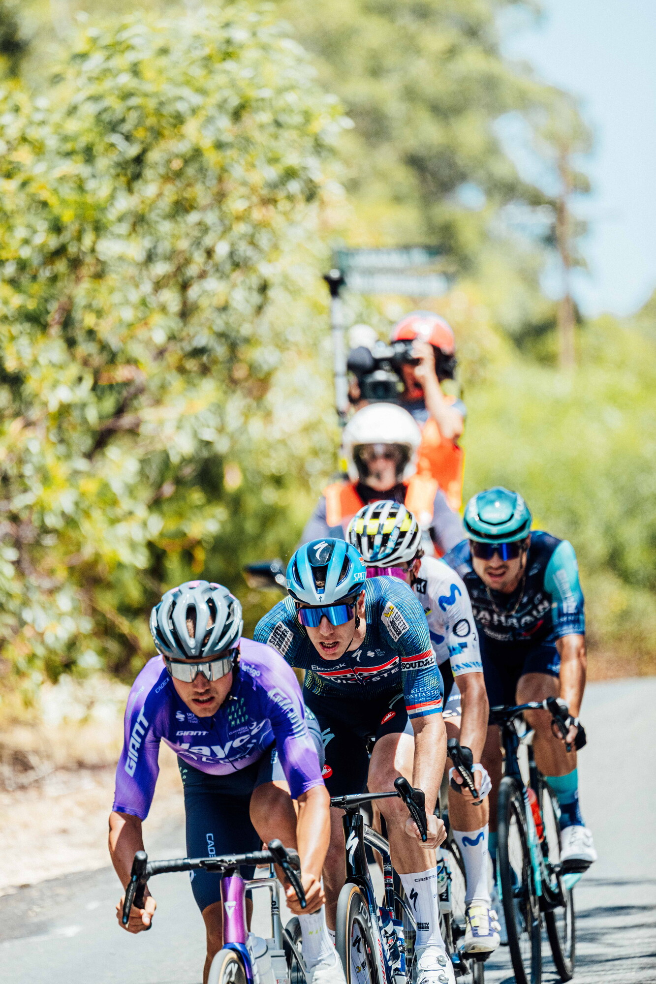 cyclingimages-TDU-2026-Mens Stage 5-826251.jpg