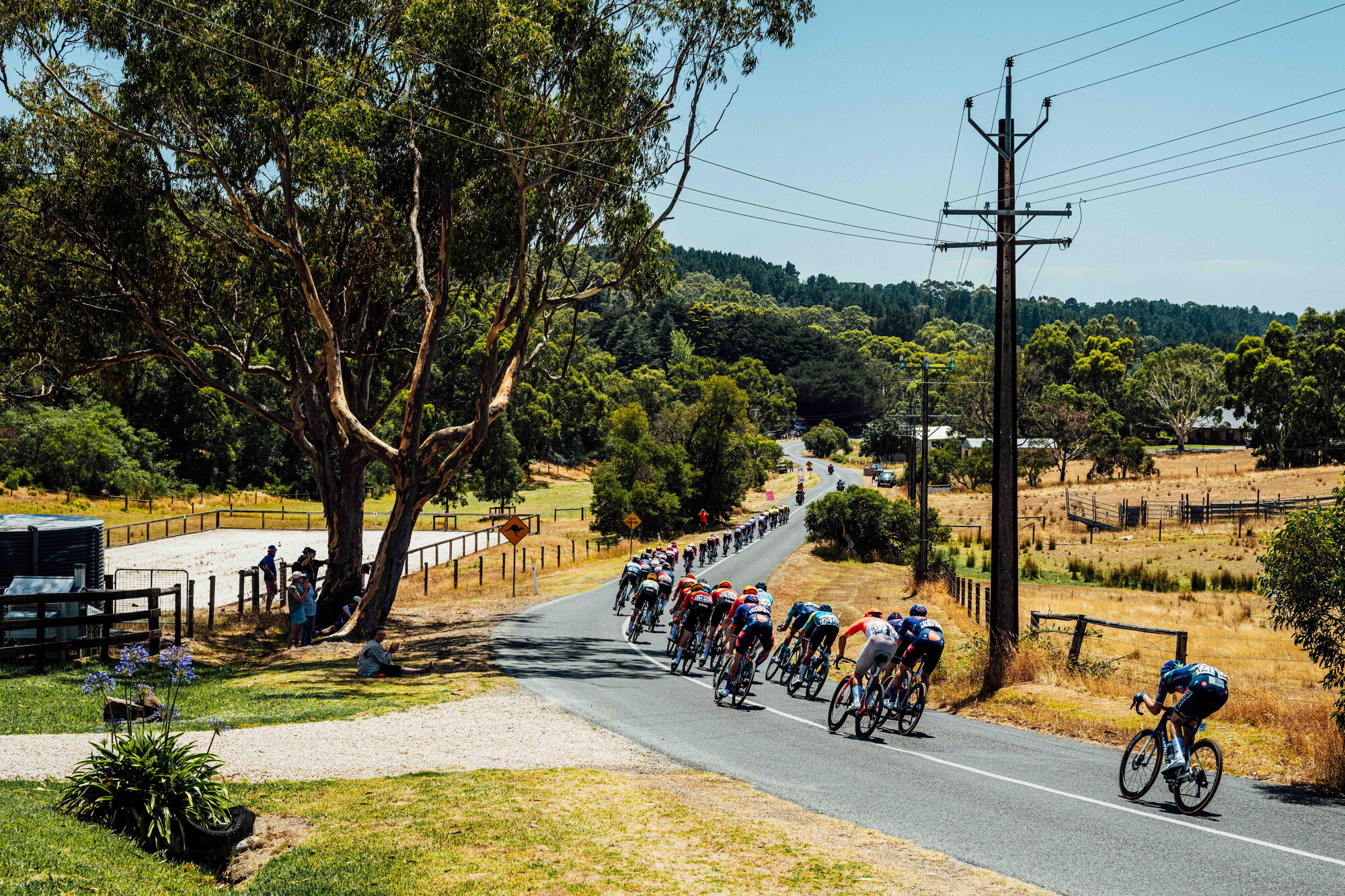cyclingimages-TDU-2026-Mens Stage 5-836076.jpg