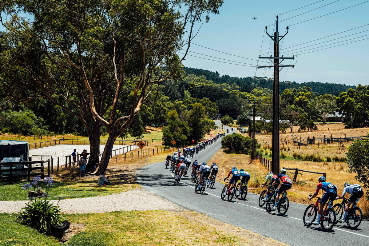 cyclingimages-TDU-2026-Mens Stage 5-836122.jpg