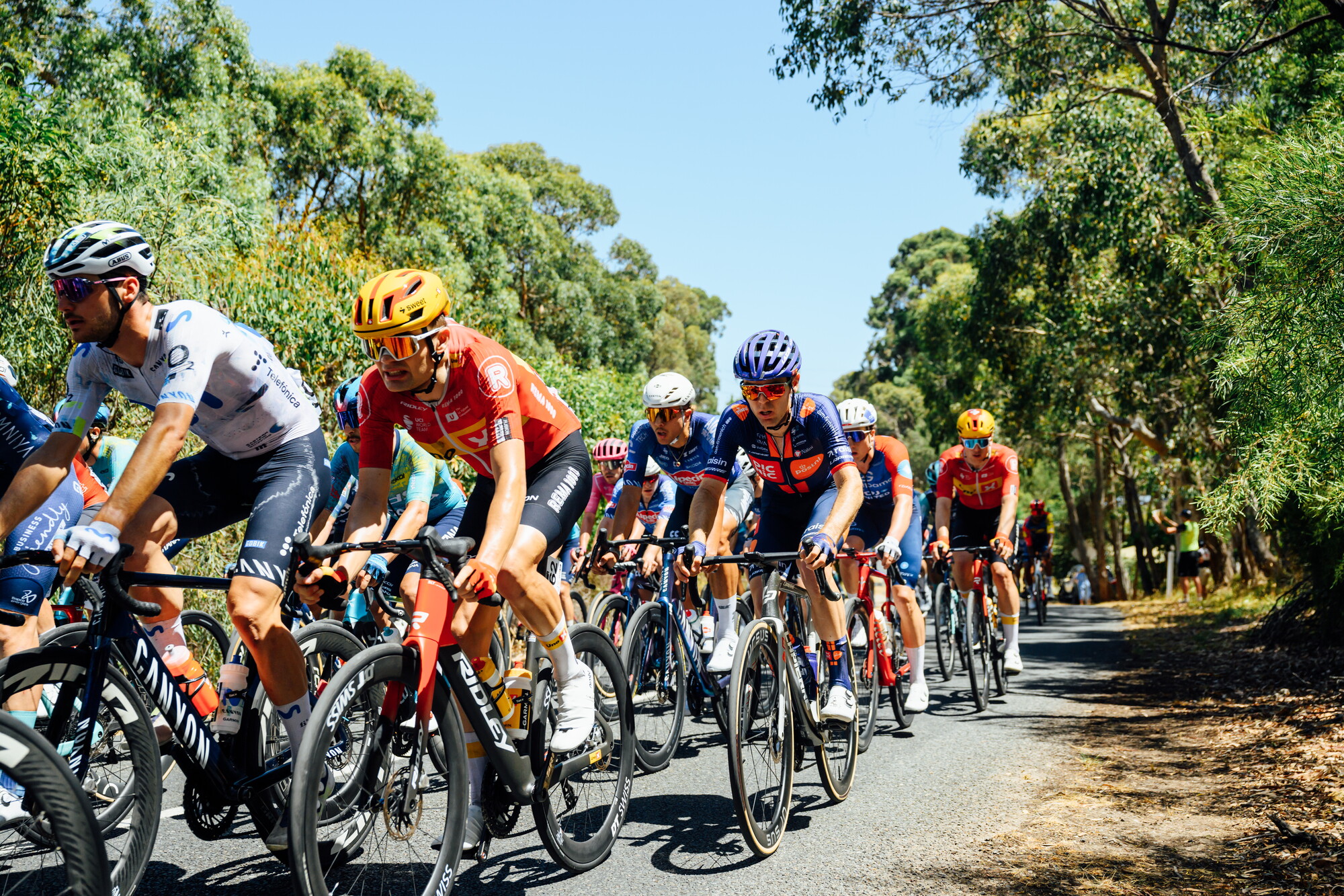 CAuldPhoto-2026-TDU-Stage5-Men-7603.jpg